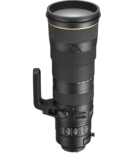 Amazon.com : Nikon AF-S FX NIKKOR 400mm f/2.8E FL ED Vibration